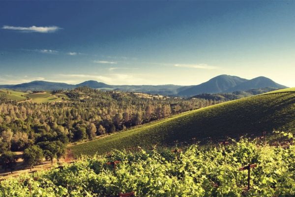 View of Brassfield Winery in California.